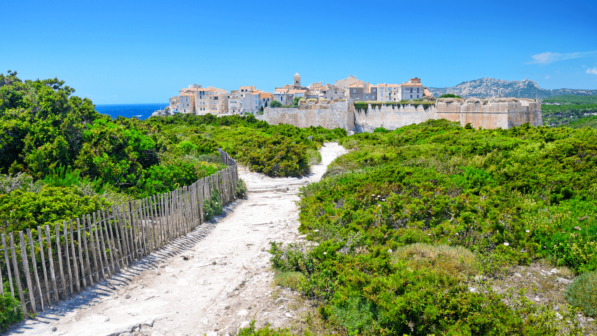 Excursions en corse lavezzi bonifacio